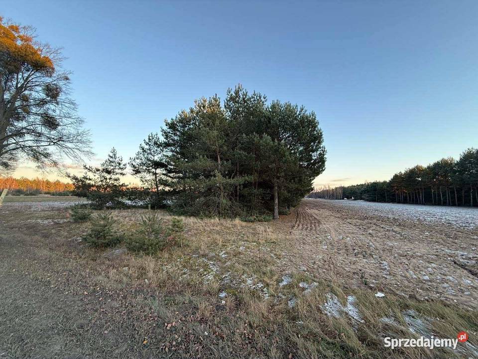 Działki budowlane na sprzedaż Józefowo k Słupcy Sprzedaż Piotrowice
