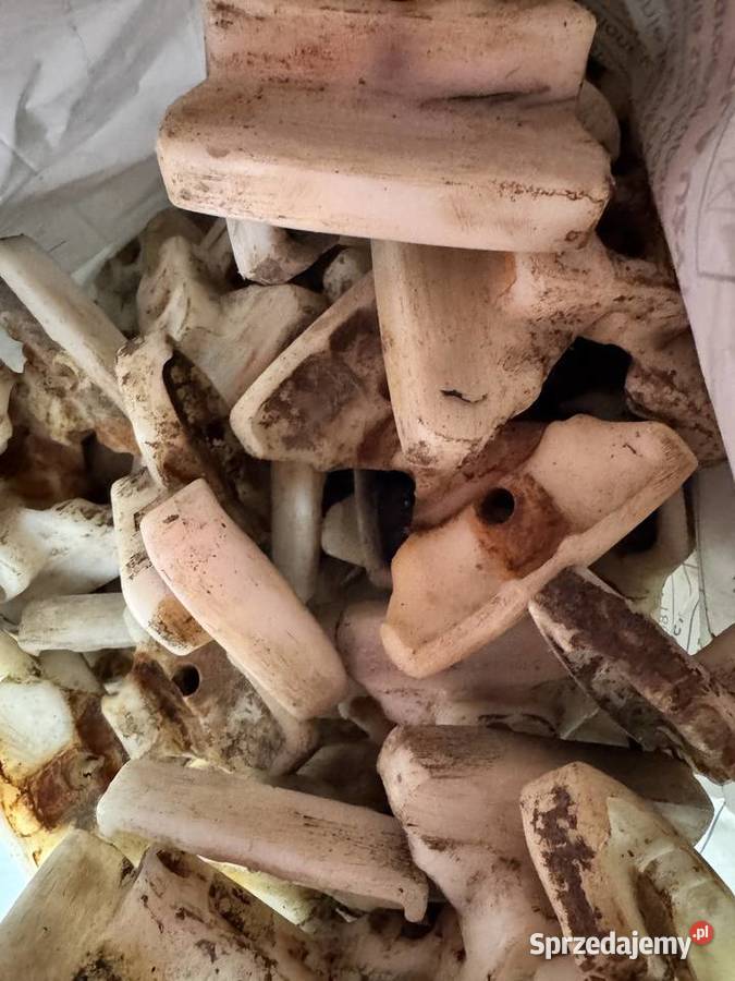 Ślizgi kostki BRAUD Holland 2720 świętokrzyskie Klimontów sprzedam