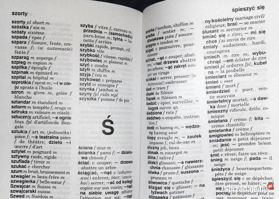 Francuski słownik z rozmówkami Mirosława Pozostałe Chełm