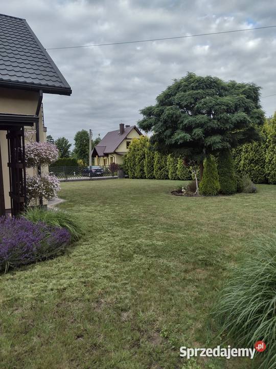 Dom TRZEBOWNISKO 140 m Sprzedaż podkarpackie