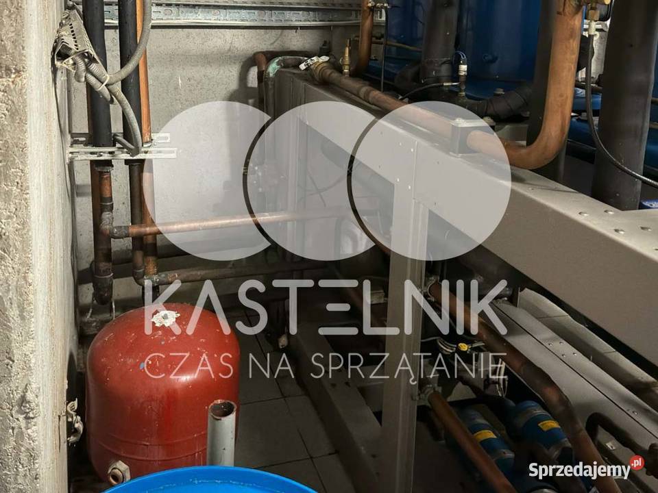 Sprzątanie gołębiach Rawicz Kastelnik mycie
