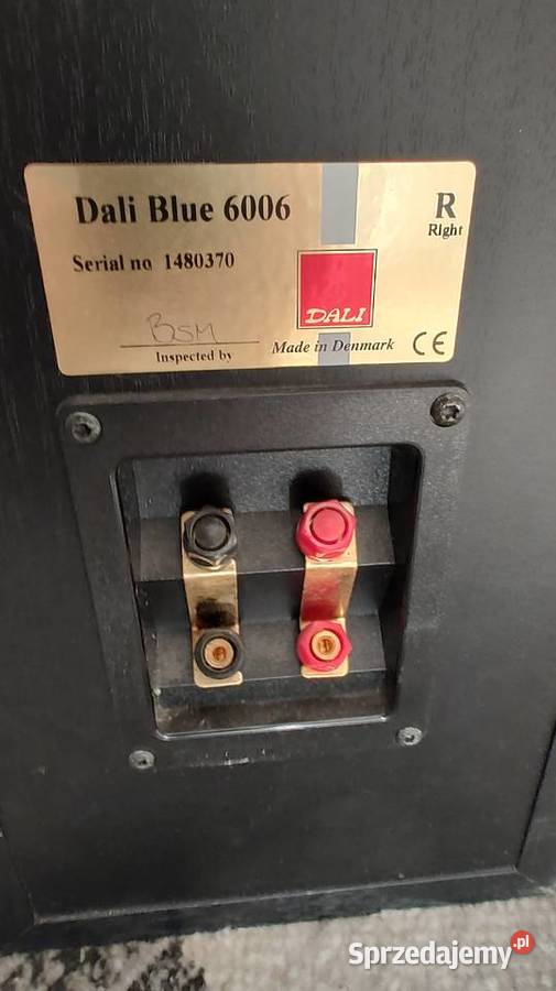 Dali blue 6006 pomorskie Sopot