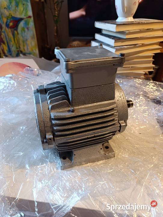 Silnik elektryczny produkcji MARAZ MOTOR z Gdynia