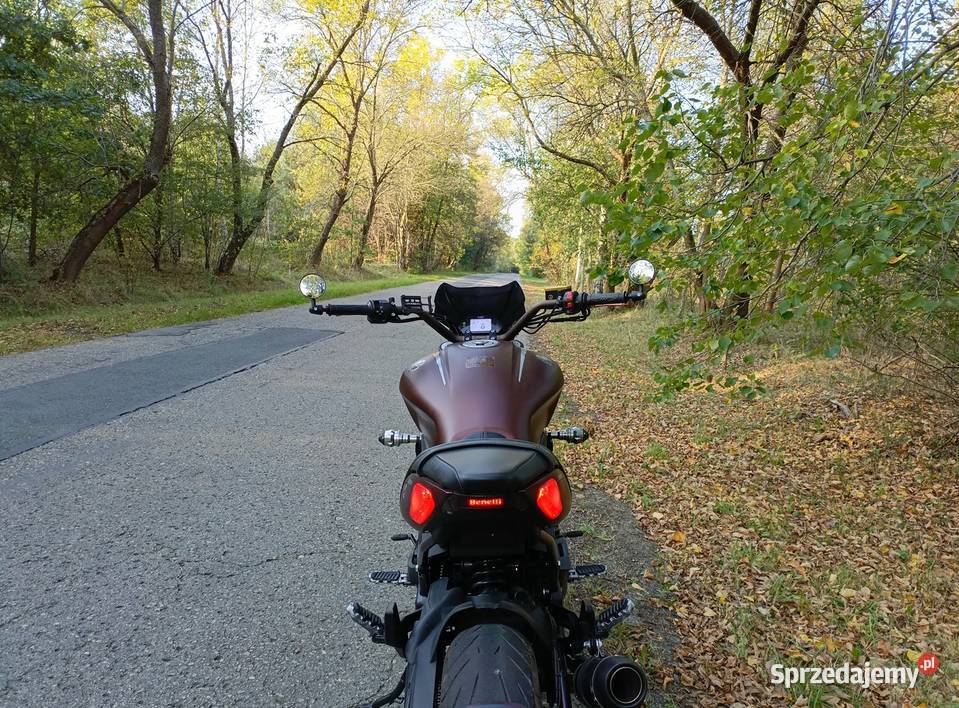 Benelli 502C 2019 Baby Diavel Krzepice