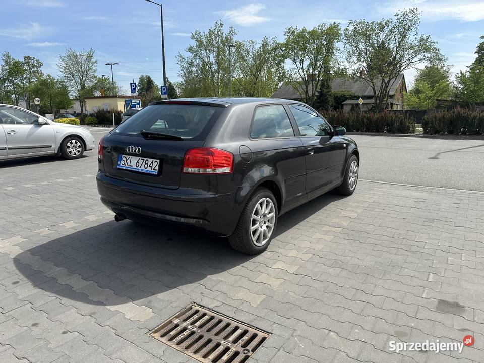 Audi A3 8P 16 MPI 102 2008r Bezwypadkowy Bez Audi