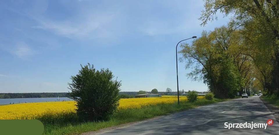 Działka 3000 m2 usługowohandlowa Krężnicka