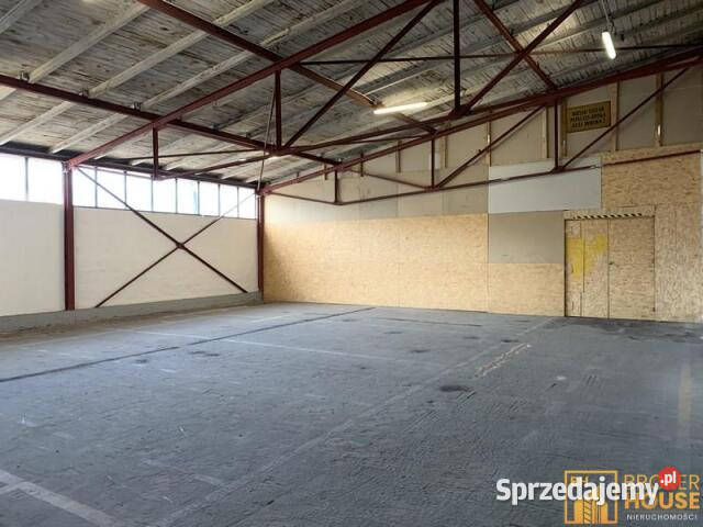 Wynajmę lokal Opole 975m2