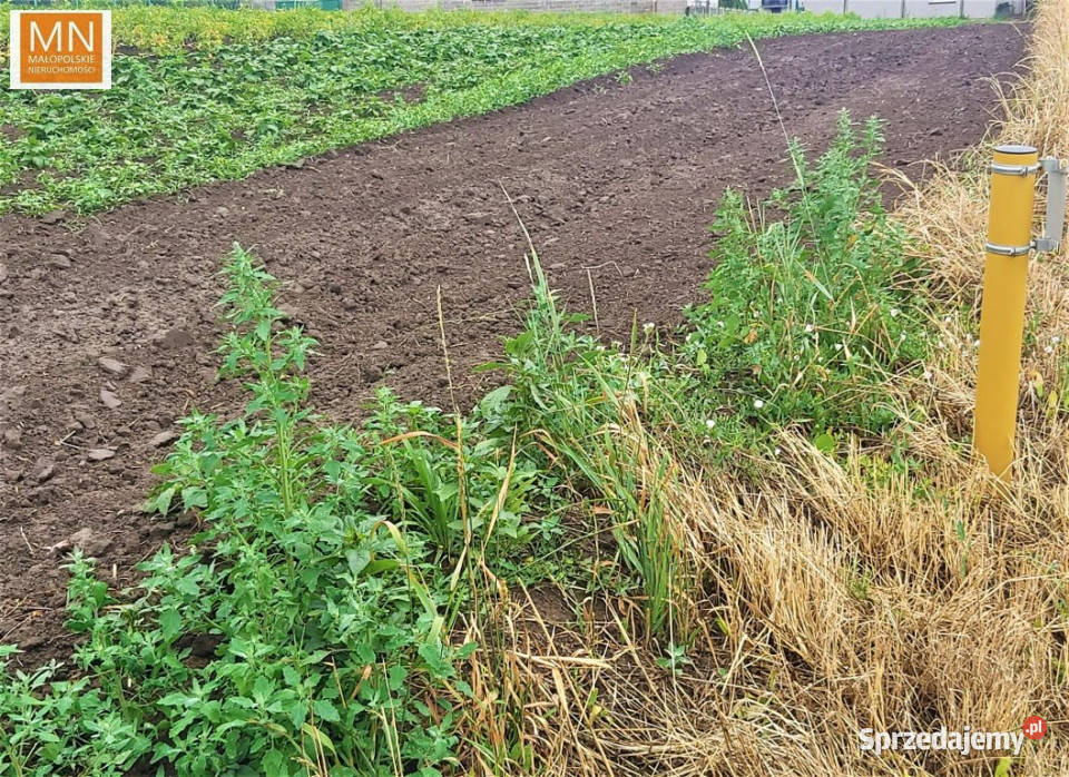 Grunt 1257m2 Kraków Wróżenicka