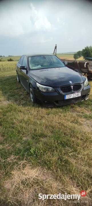 BMW E60 530i m54b30 Baćkowice