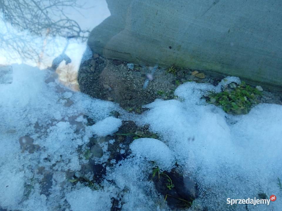 Szyba czołowa VW Sharan mk 2 Limanowa