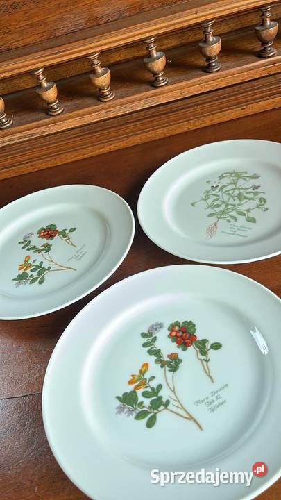 Talerzyk Flora Danica Lise Porcelain 1980 Gdańsk sprzedam