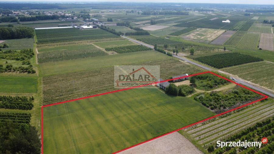 Do sprzedaży grunt Janów 16900m2 Sprzedaż
