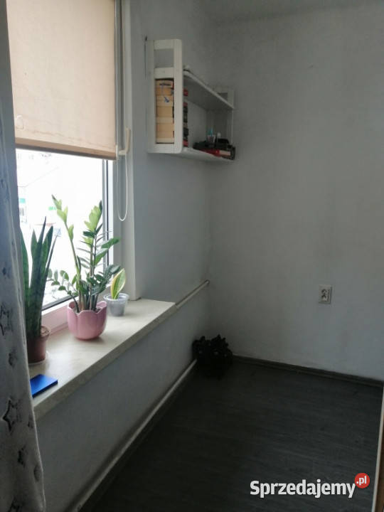 Mieszkanie na wynajem dostępne marca