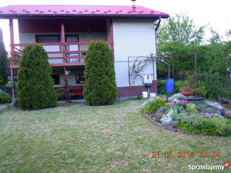 Dom na działce ROD Brodła Domy