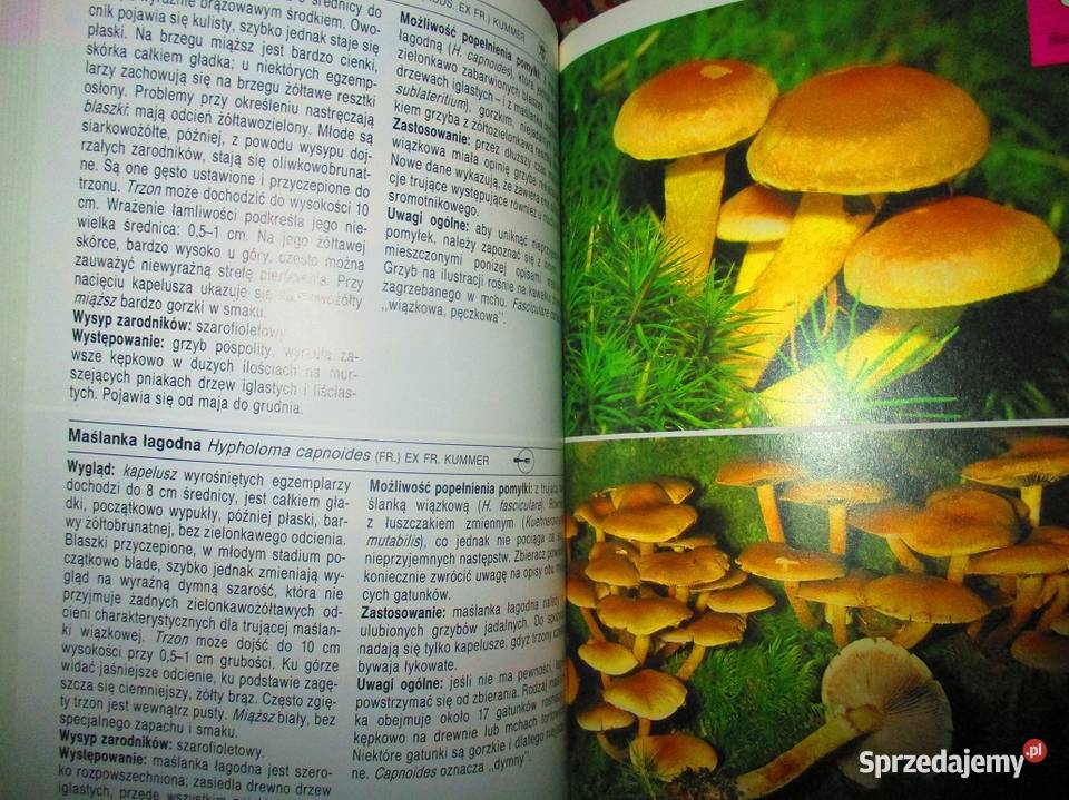 Leksykony przyrodnicze przyroda rośliny zioła Książki naukowe i popularnonaukowe Łódź