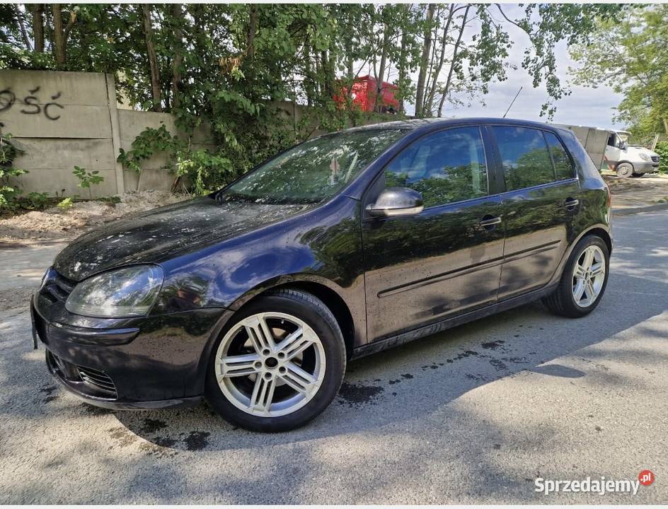 Volkswagen Golf 19TDI 101 2006 nieuszkodzony