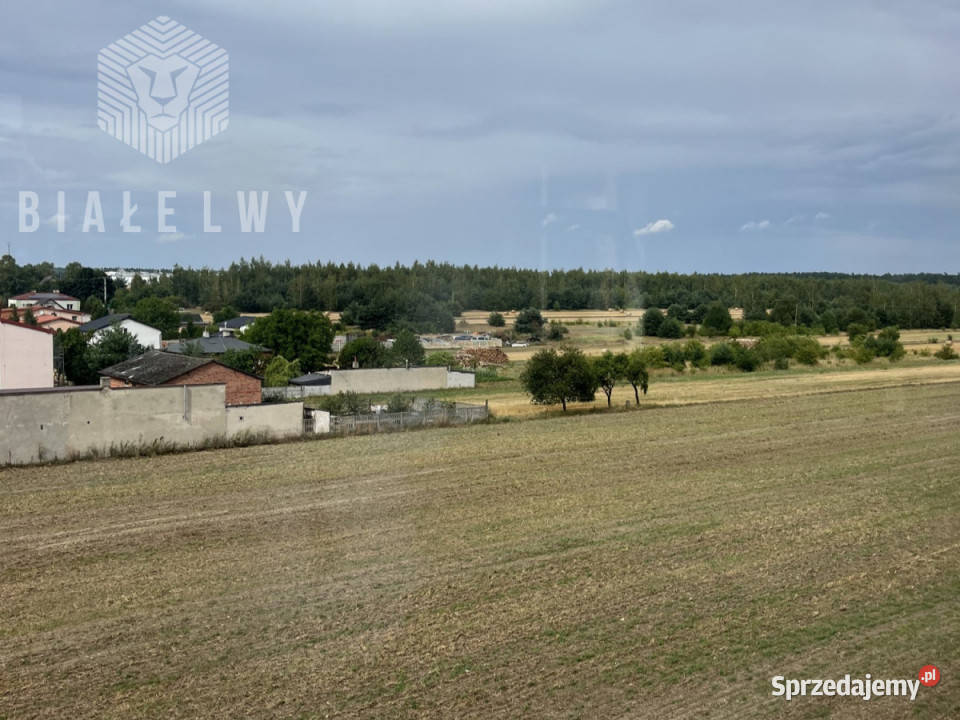 Lokal Przesiadłów 1000m2 Ilość pomieszczeń 21 łódzkie