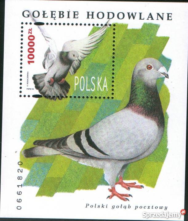 Zn Fi 33636 bl 112 1994 Gliwice