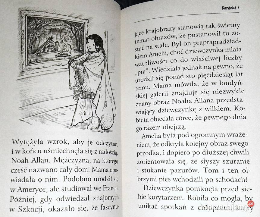 Zaopiekuj się mną Zimowy wilk Holly Webb Chełm