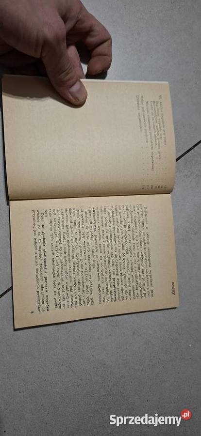 Dochodzenie powypadkowe 1 wydanie niski nakład wielkopolskie Łęczyca