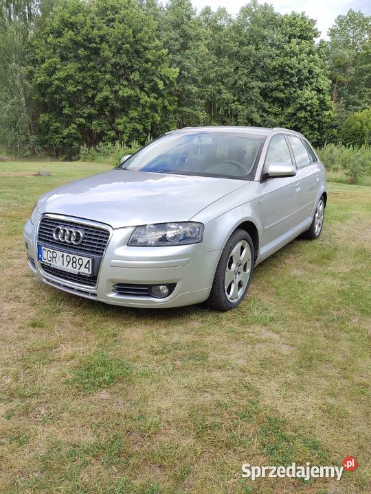 Audi A3 8P Sportack 19 tdi ABS Wielki Wełcz