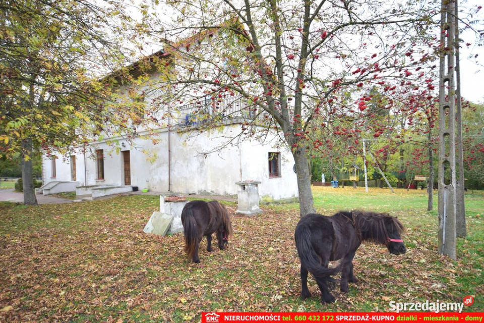 Zabytkowy Zespół DworskoParkowy XIXw 1880 r