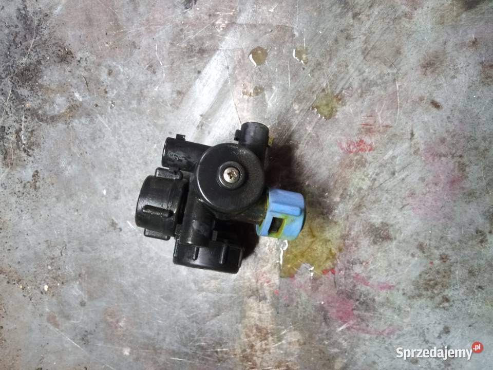 Głowica rozpylacza evrard Krasnystaw