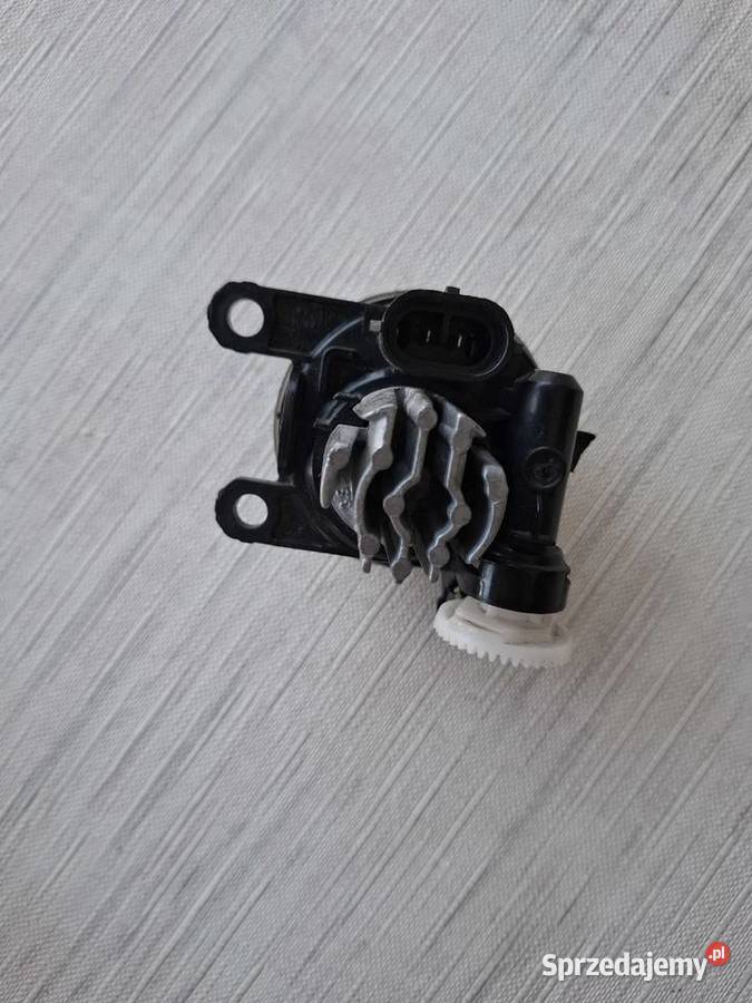 Halogen lewy FORD KUGA MK3 2020 Focus MK4 Puma Międzychód sprzedam
