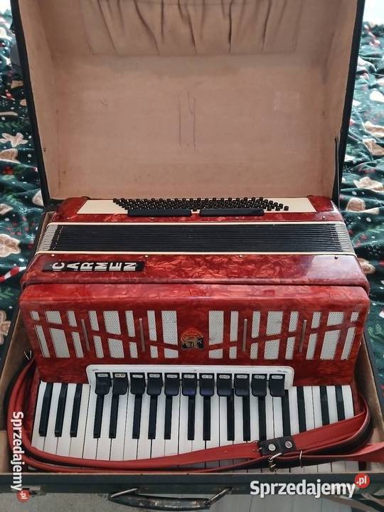Sprzedam Akordeon 120 Basów 4 Chóry Carmen świętokrzyskie Busko-Zdrój