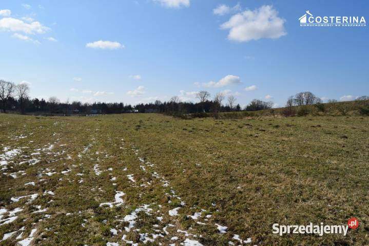 Grunt Bukowina 1159m2 asfalt