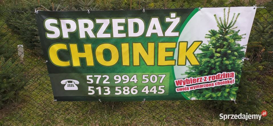 Choinki Plantacja Mielec