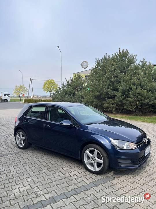 Golf VII Rozdrażewek