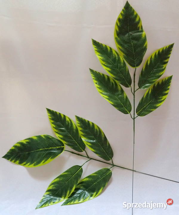 Liście ozdobne 5 na gałązce Zx1 Siewierz