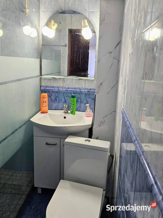 Mieszkanie do wynajęcia 2000 liczniki Kromera Liczba pokoi 1 Wrocław