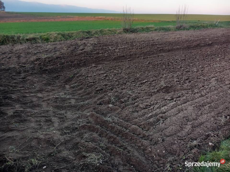 Traktorki jednoosiowe gudbrod terra vari dolnośląskie