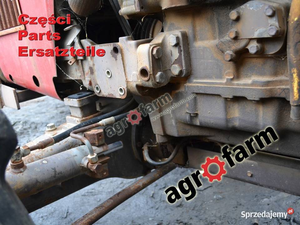 Massey Ferguson 2640 części skrzynia biegów oś Pozostałe Byków