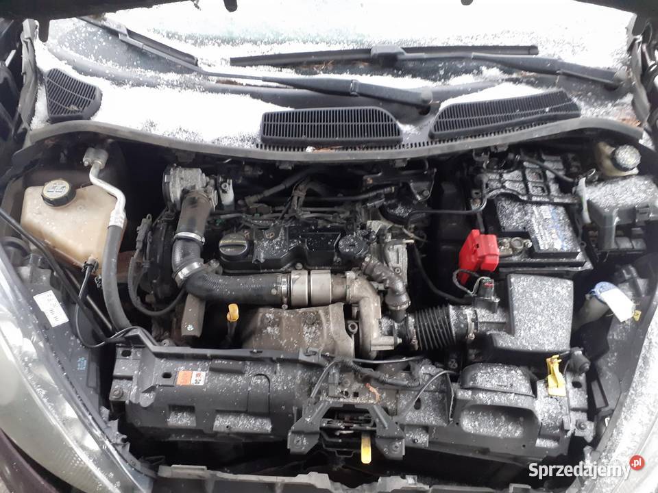 SILNIK FORD FIESTA MK6 VI 14 TDCi KVJA 70 Silniki kompletne