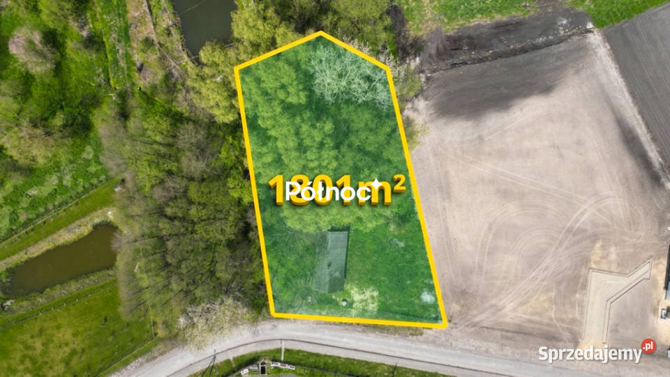 Piękna działka 1801m2Pniówno gm Wierzbica Sprzedaż Pniówno sprzedam