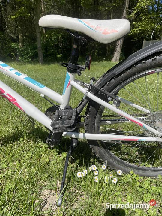 Rower sportowy Husar koła 24 Hopy