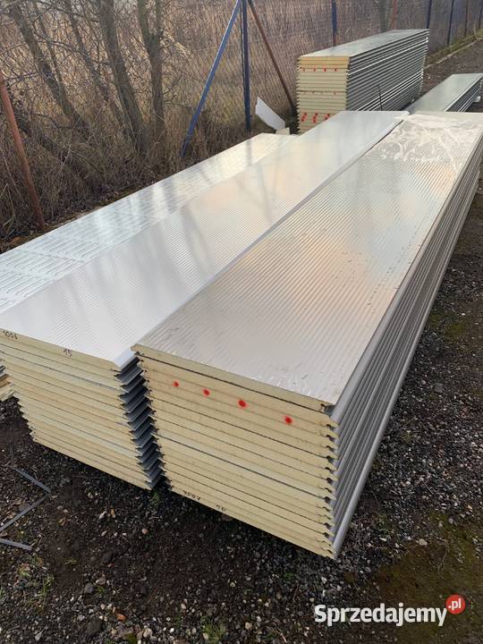 Panel bramy segmentowej SREBNY makrofala Gatunek metal