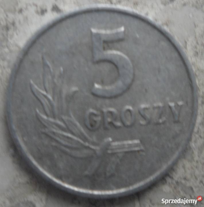POLSKA5 GROSZY1962 r bzAL sprzedam