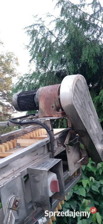 Podajnik taśmowy kwasoodporny do spożywki sprzedam