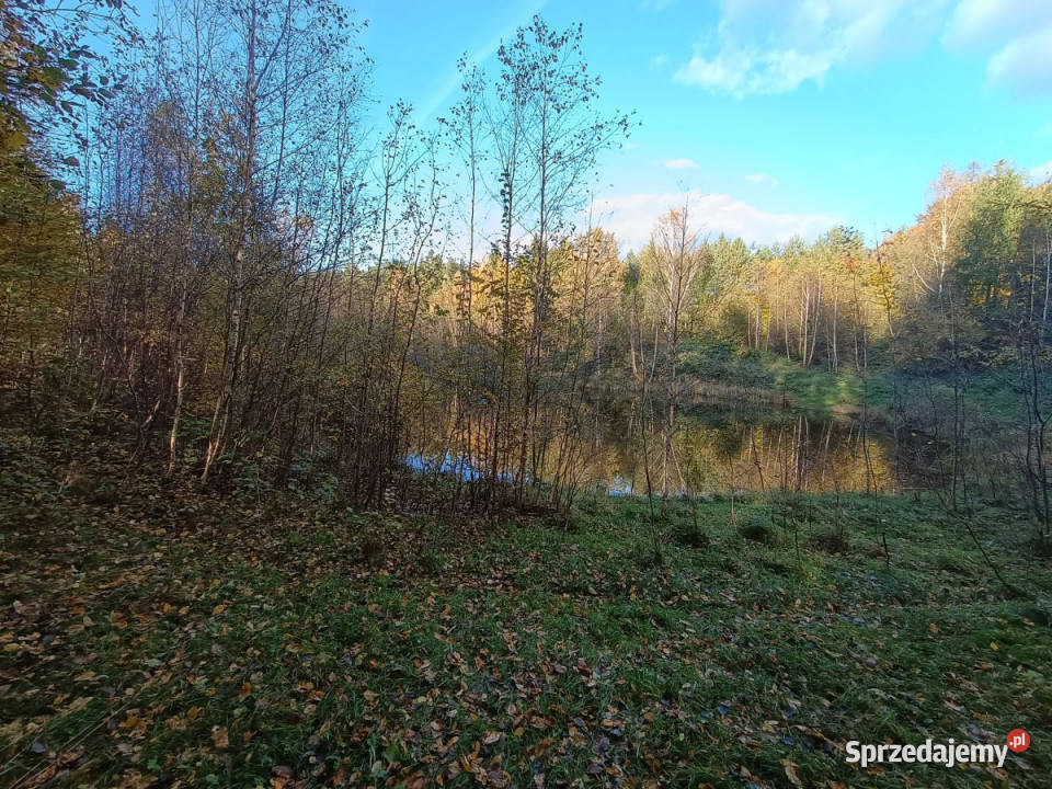 Działka 3000m2 Gromadzin 3000m2