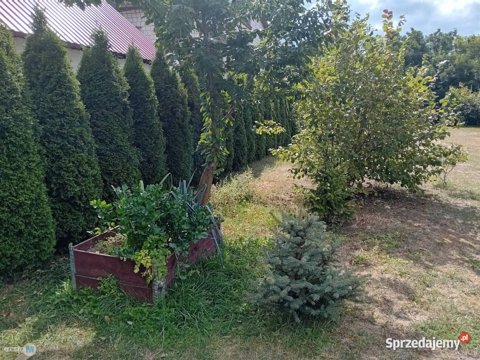 sprzedaży domu 110m2 Jedlińsk