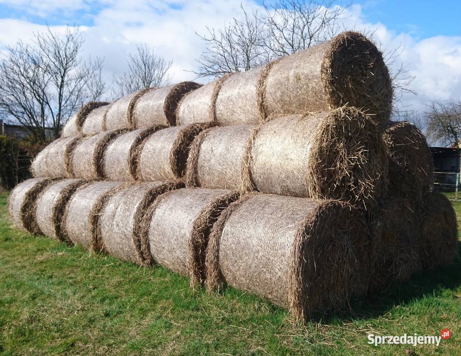 Słoma bele baloty śląskie Mikołów