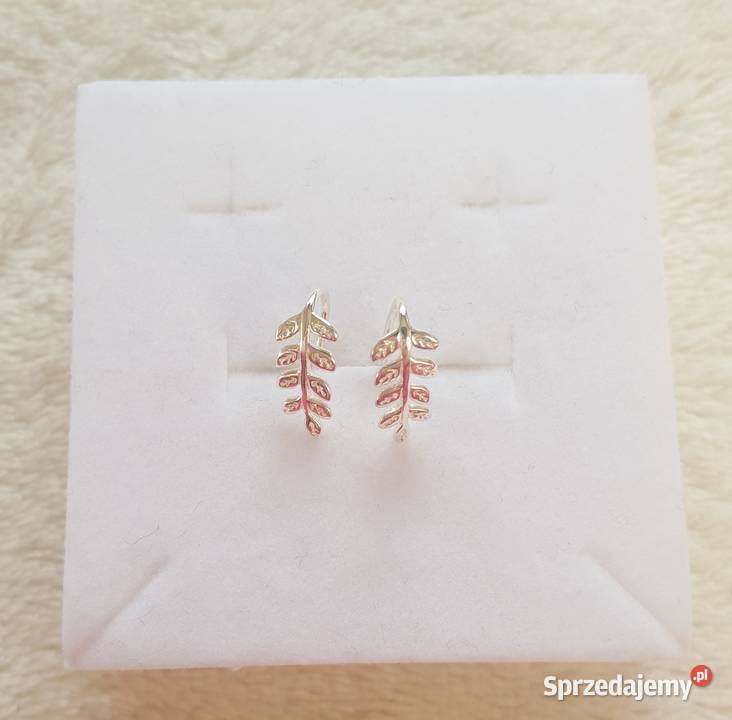 Nowe drobne kolczyki srebrne próba 925 liście srebrne Szczecin