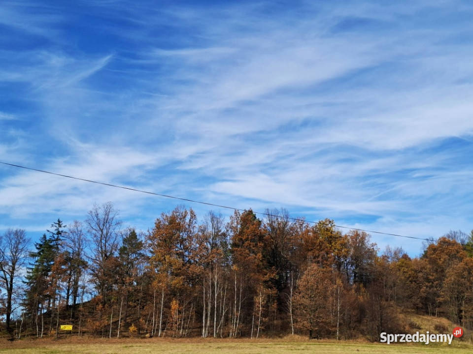 sprzedam dużą działkę rolną w Głębock