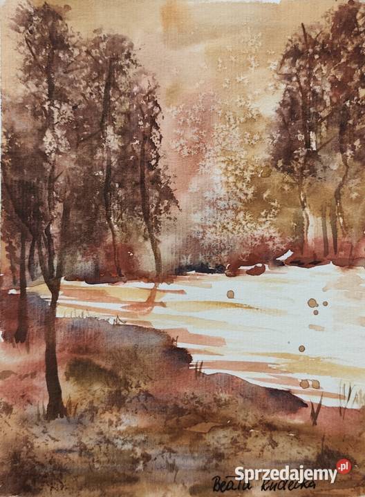 Akwarela Akwarelka Obraz pt Leśny Szmer Malarstwo opolskie Opole
