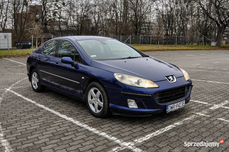 Peugeot 407 20 138 Salon