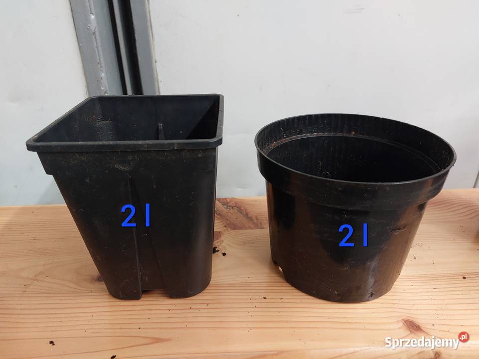 Doniczki produkcyjne szkółkarskie używane Sompolno
